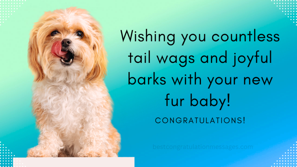 Congratulations Messages For New Dog