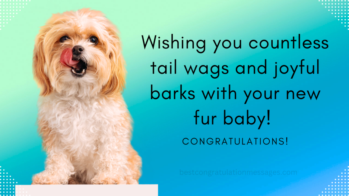 Congratulations Messages For New Dog - Best Congratulation Messages