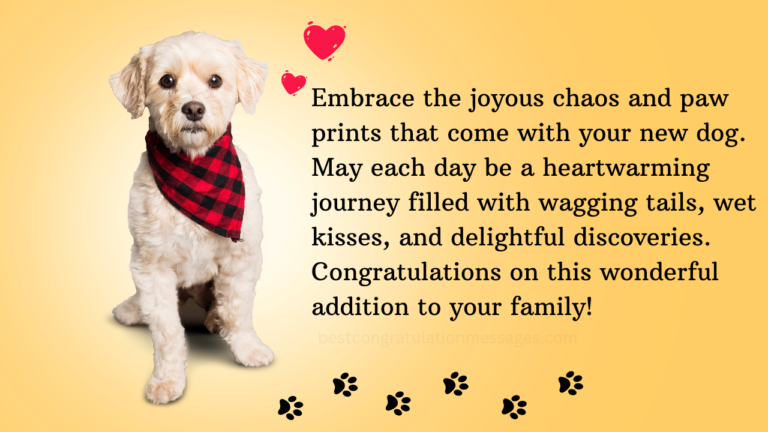 Congratulations Messages For New Dog - Best Congratulation Messages